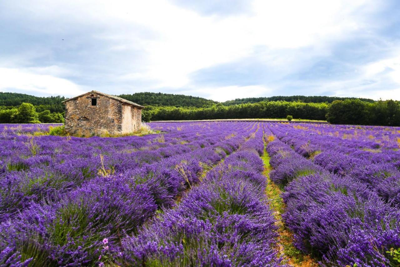 Petit Studio Atypique Et Cosy En Provence Saint-Étienne-les-Orgues Exterior foto